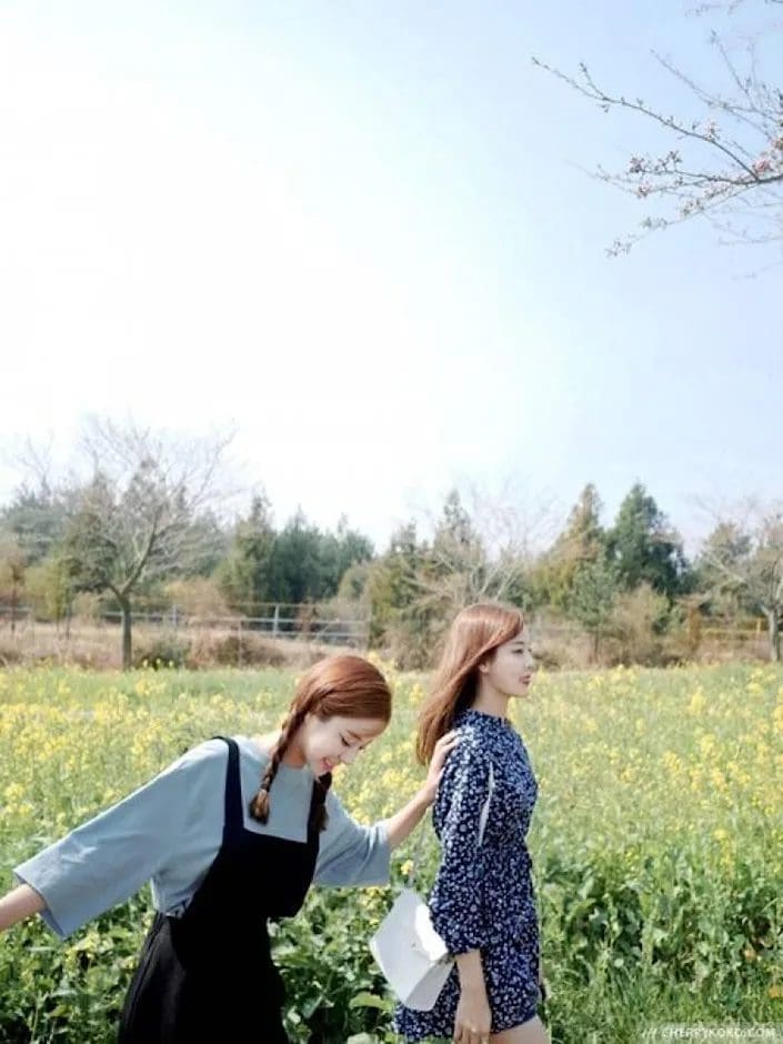 交朋友太复杂?9个值得交心的好友特质 | 文字碌碌 交朋友太复杂?9个值得交心的好友特质 | 文字碌碌