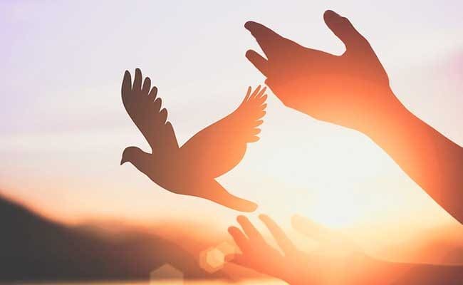 马来文谚语大全！能运用在各个作文题目的好词好句（上）~ | 文字碌碌