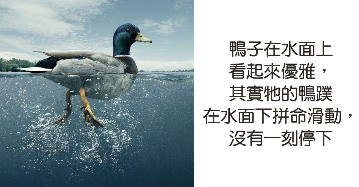 我后悔没在大学毕业前知道的5件事情! | 文字碌碌 我后悔没在大学毕业前知道的5件事情! | 文字碌碌