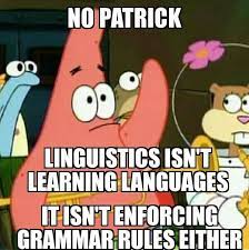 语言学才不是学语言！会很多语言就比较聪明吗？ | 文字碌碌